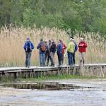 Excursie Nationale Vogelweek, 11 mei 2013