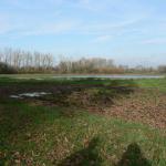 eerste weiland